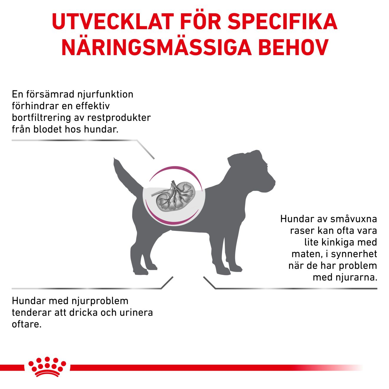 Vital Renal Small Dog