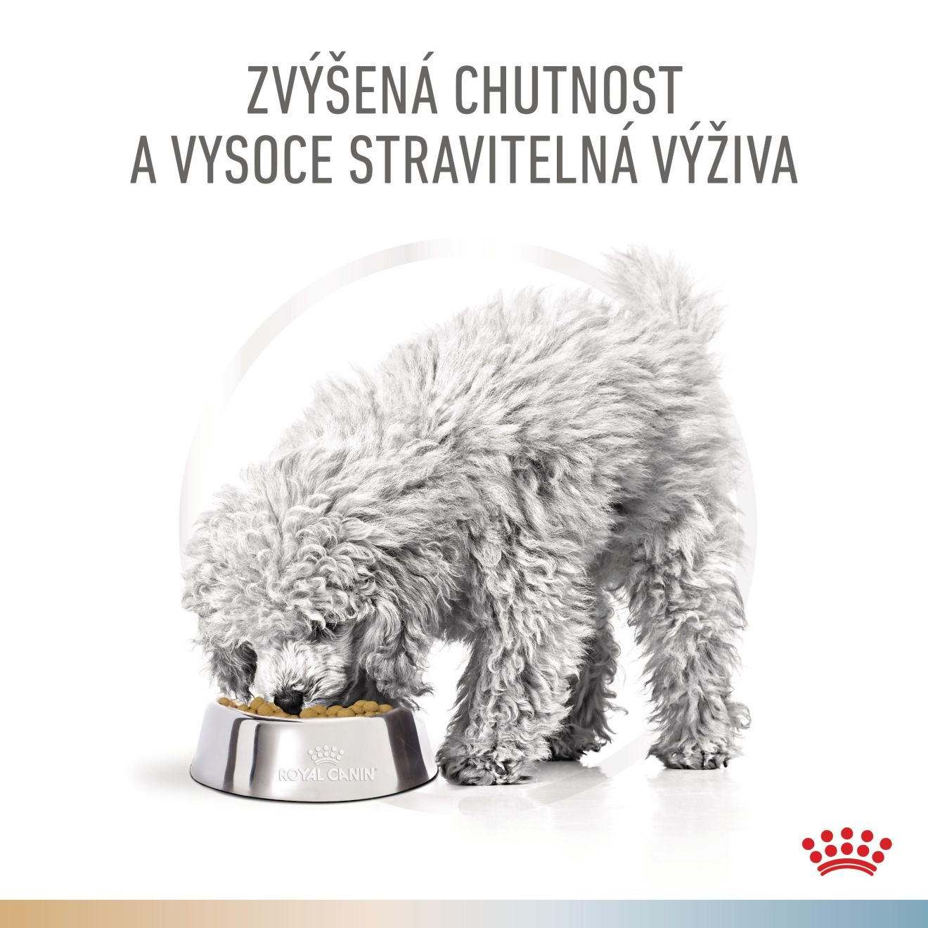 VHN Dog CA Urinary S/O-Hypoallergenic