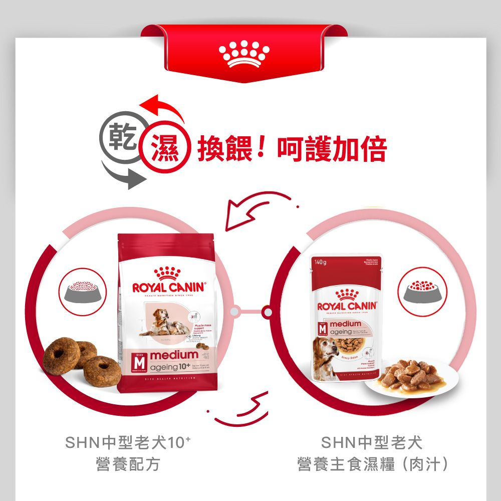 SHN 中型老犬10+營養配方