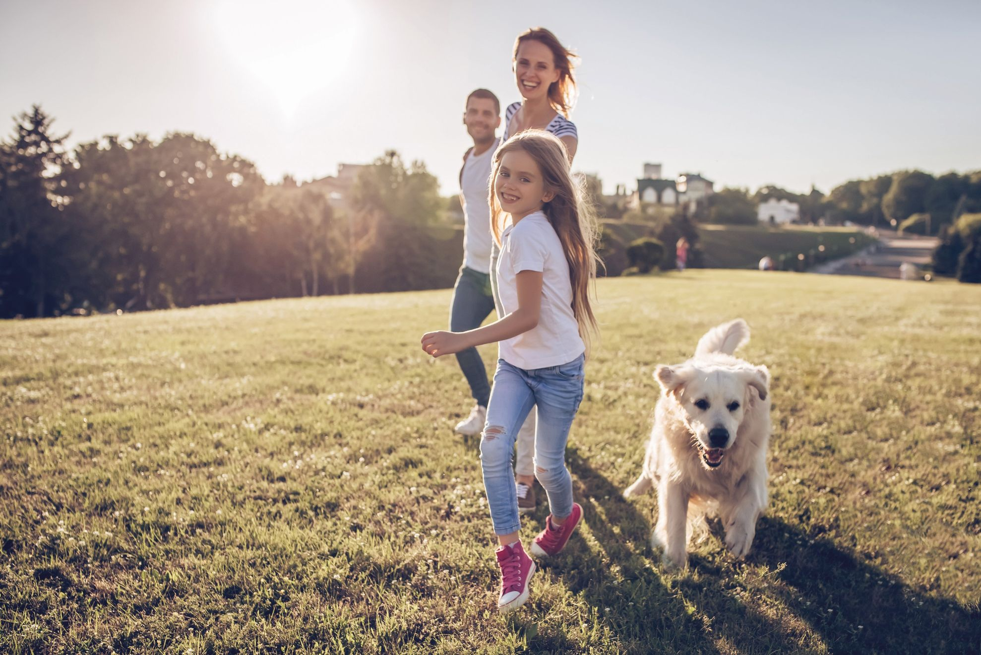 Royal Canin möchte bis 2025 eine klimaneutrale Bilanz erreichen 