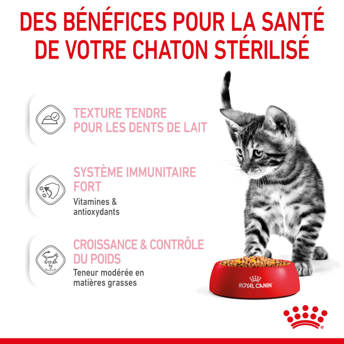 Kitten Sterilised Gelée - Sachet fraîcheur pour chaton stérilisé