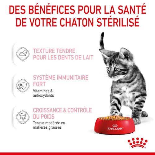 Kitten Sterilised Gelée - Sachet fraîcheur pour chaton stérilisé