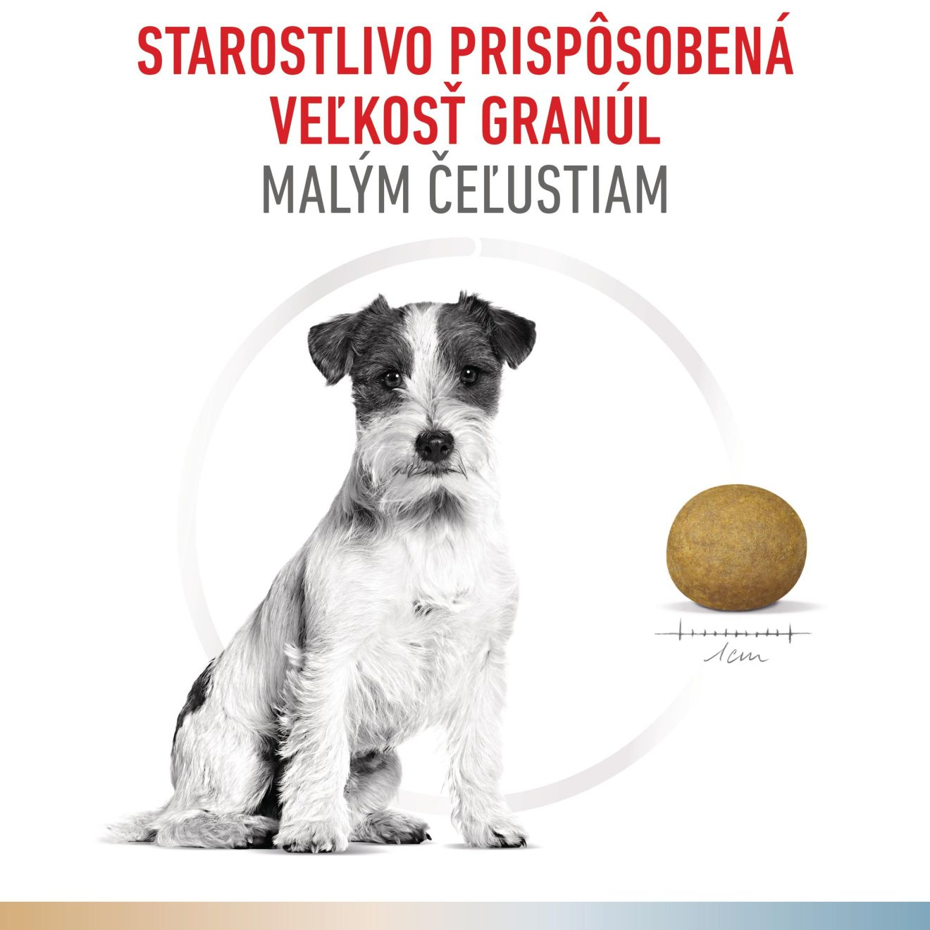 VHN Dog CA Urinary S/O-Hypoallergenic Small