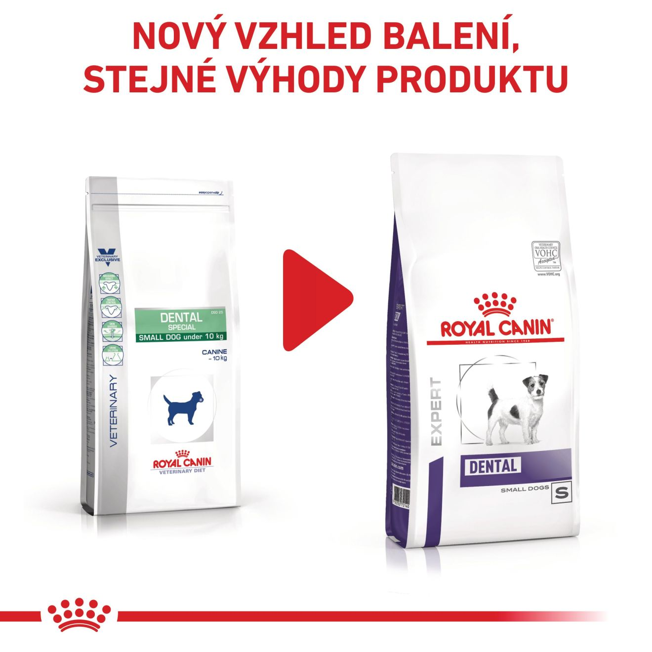 VHN Dental small dog