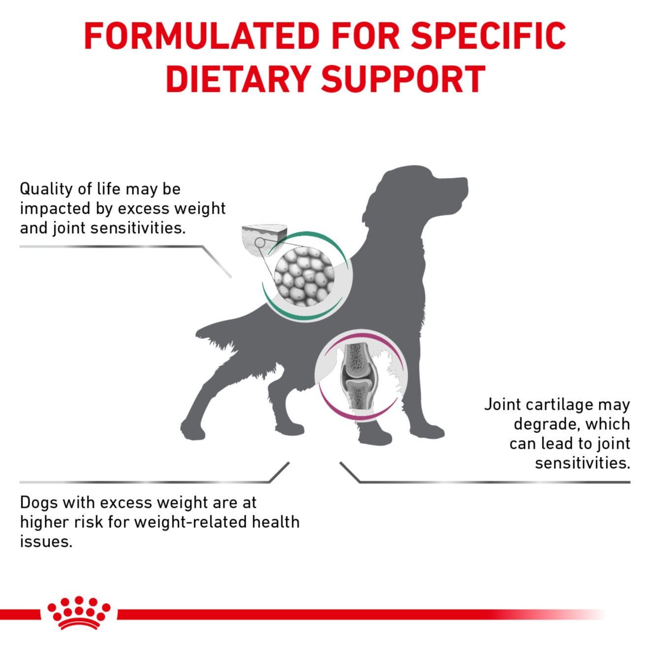 Canine Advanced Mobility Support + Satiety