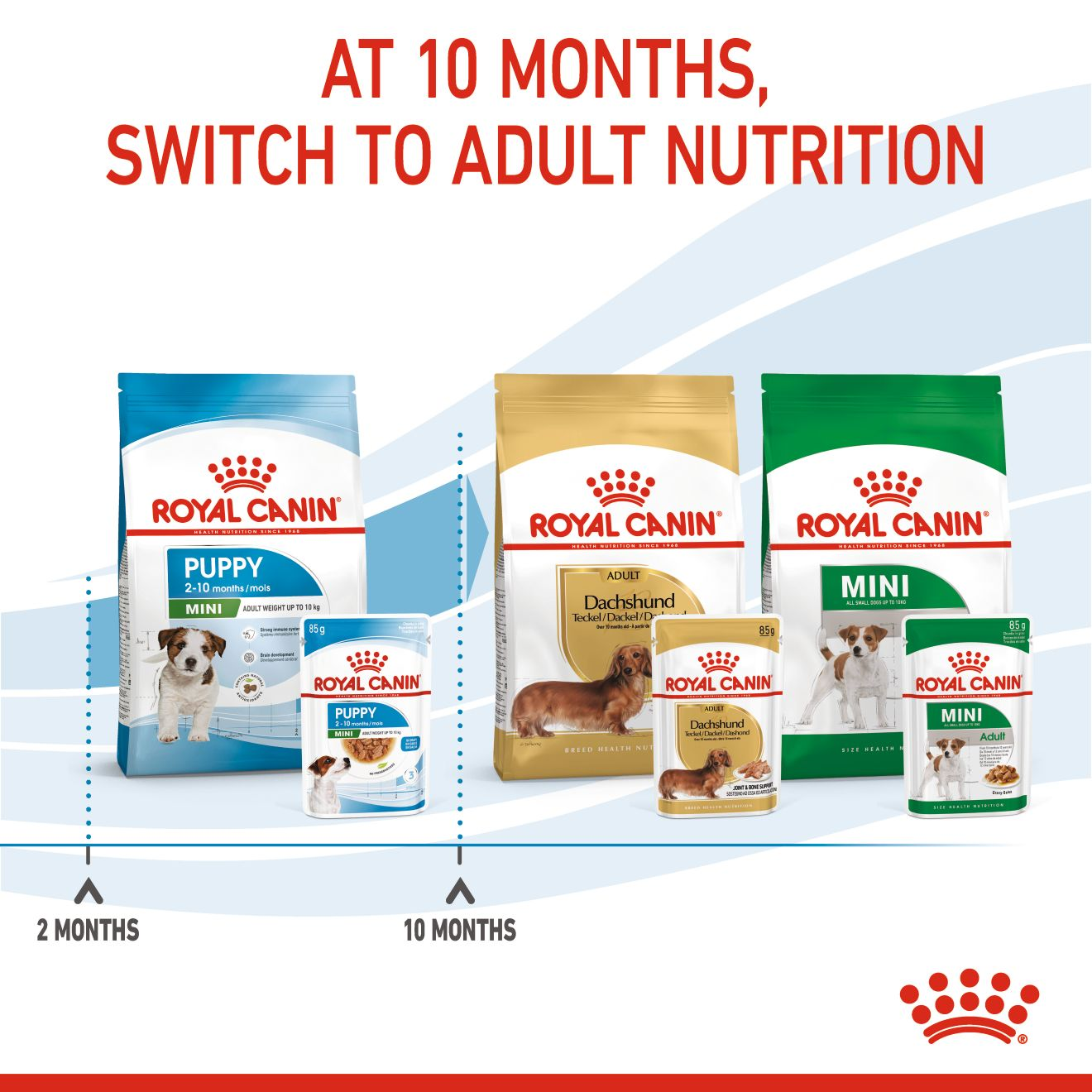 Royal hotsell canin ireland