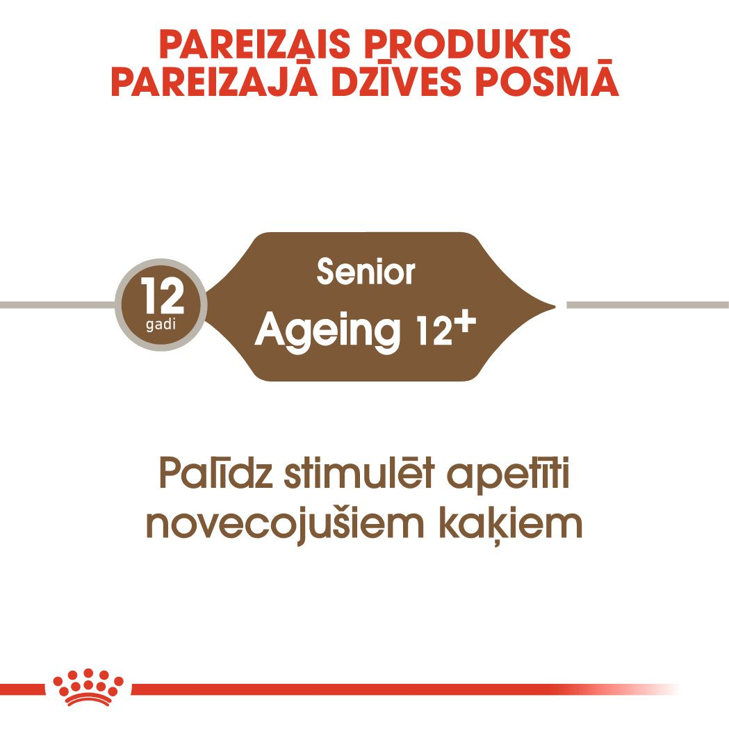 Ageing 12+