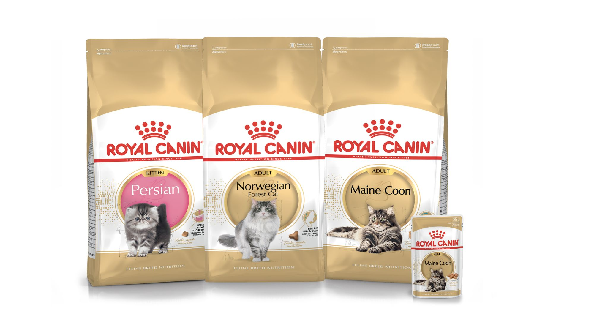 Croquettes pour chat de race Royal Canin