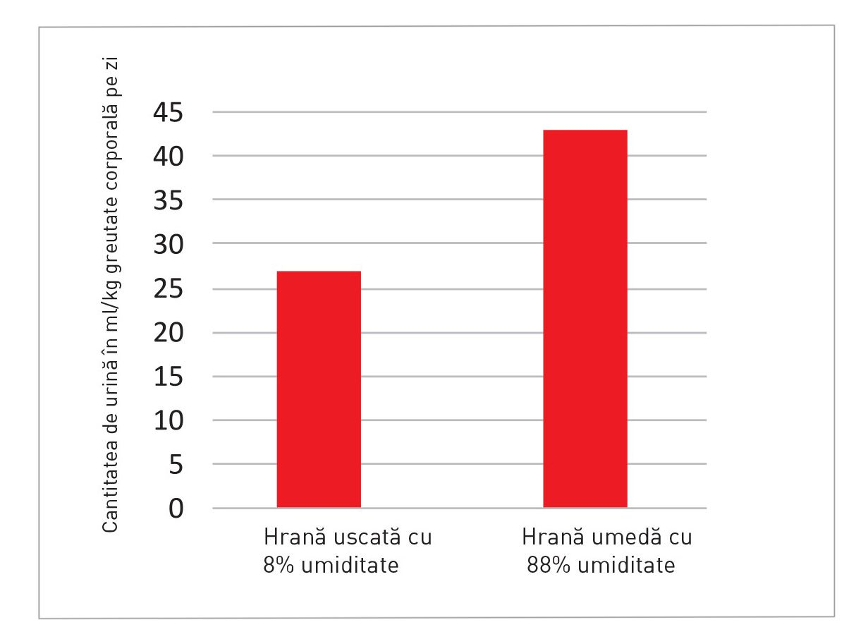 Cantitatea de urină la pisici care consumă hrană uscată și umedă ( 8 ).