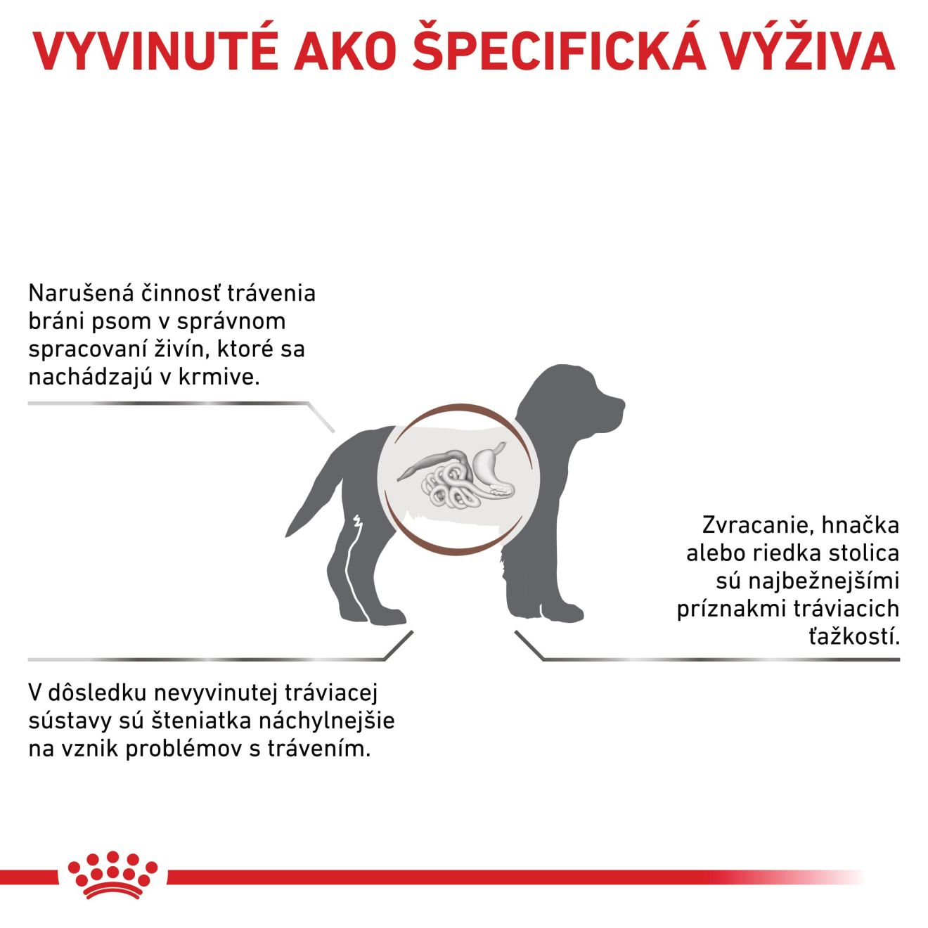 VHN Dog Gastrointestinal Puppy