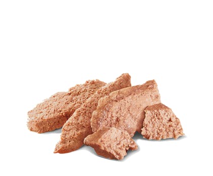 BREED-TEXTURE LOAF-DOG18