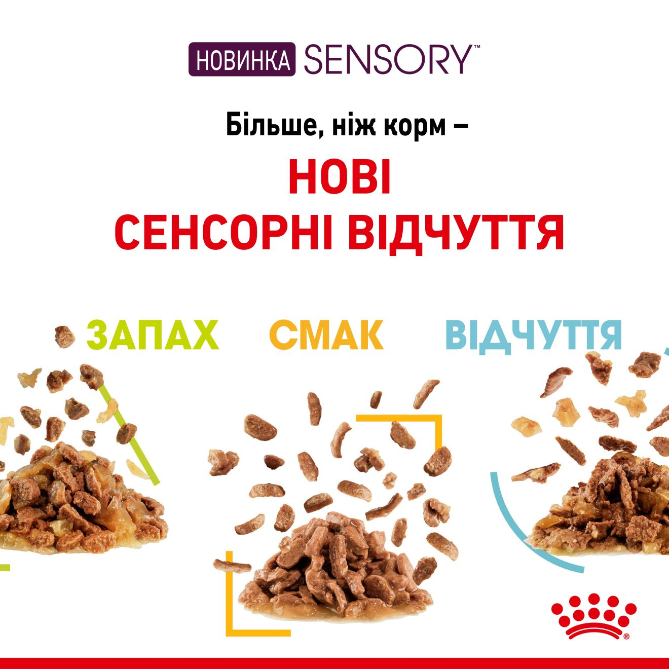 Sensory™ Taste Chunks in gravy