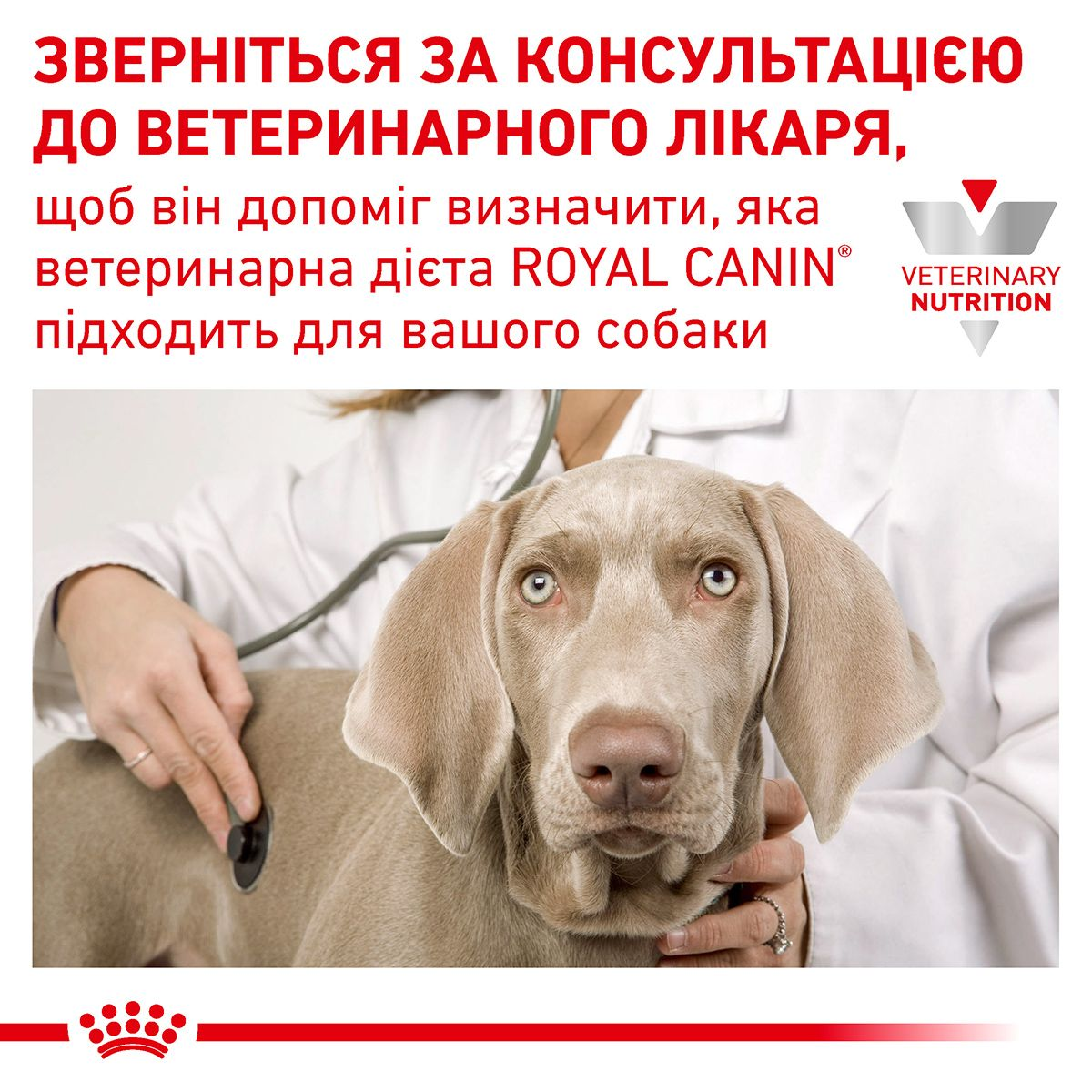 Gastrointestinal Low Fat Royal Canin UA