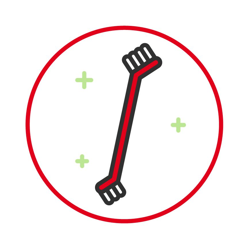 Illustration of a toothbrush