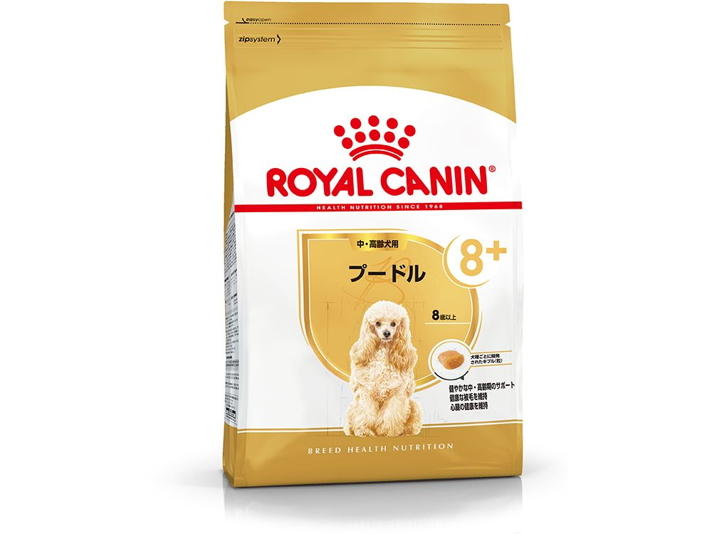 プードル 中・高齢犬用 | Royal Canin JP