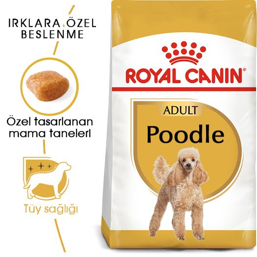 Poodle Adult Yetişkin Köpek Kuru Maması