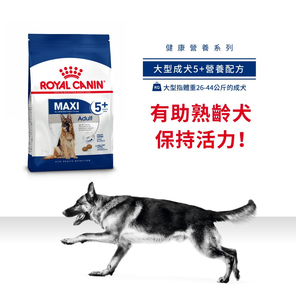 SHN 大型成犬5+營養配方