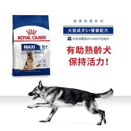 MSA+5_大型成犬5+營養配方_正方形_HK_01
