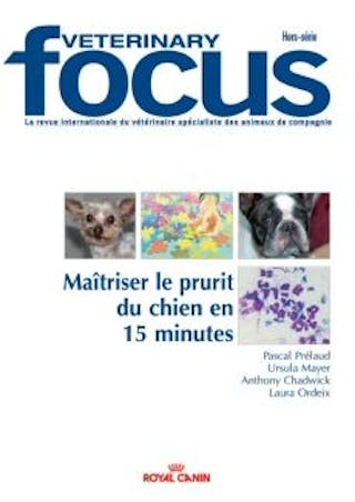 Maîtriser le prurit du chien en 15 minutes