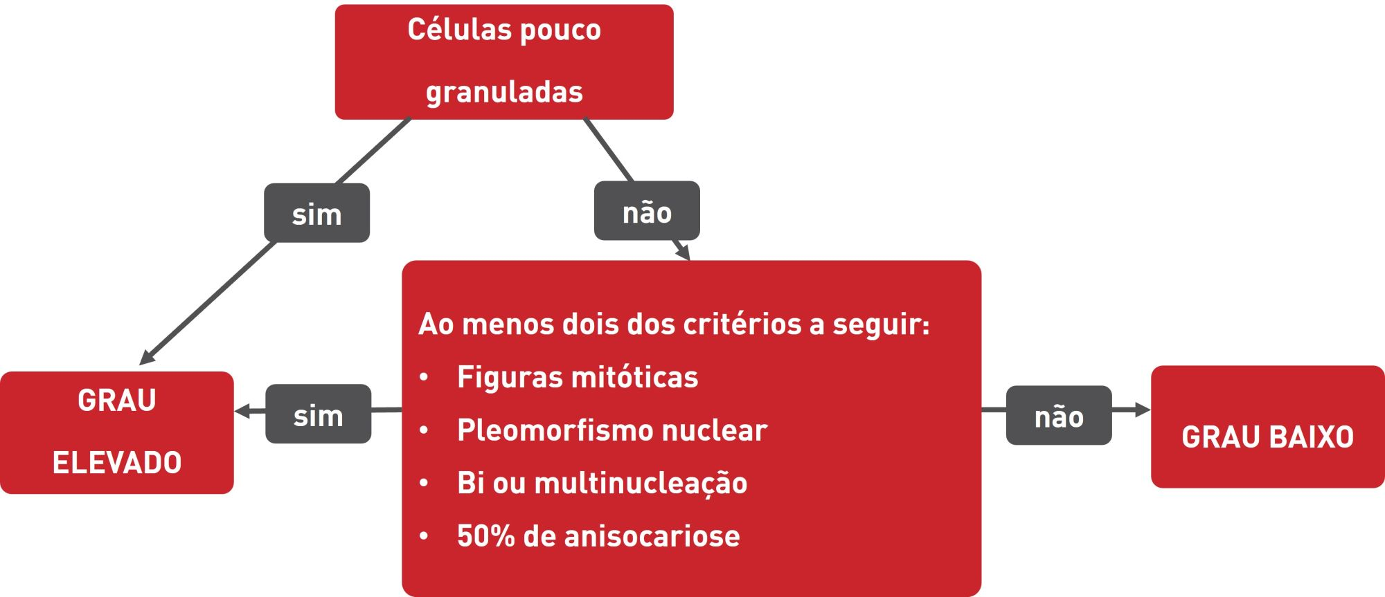 Classificação do grau de mastocitoma, de acordo com a granularidade celular e outros critérios