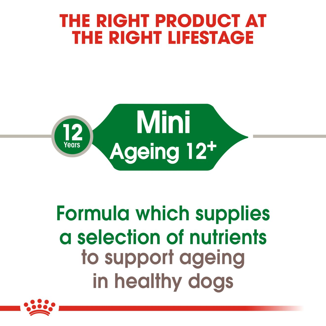 Mini Ageing 12+