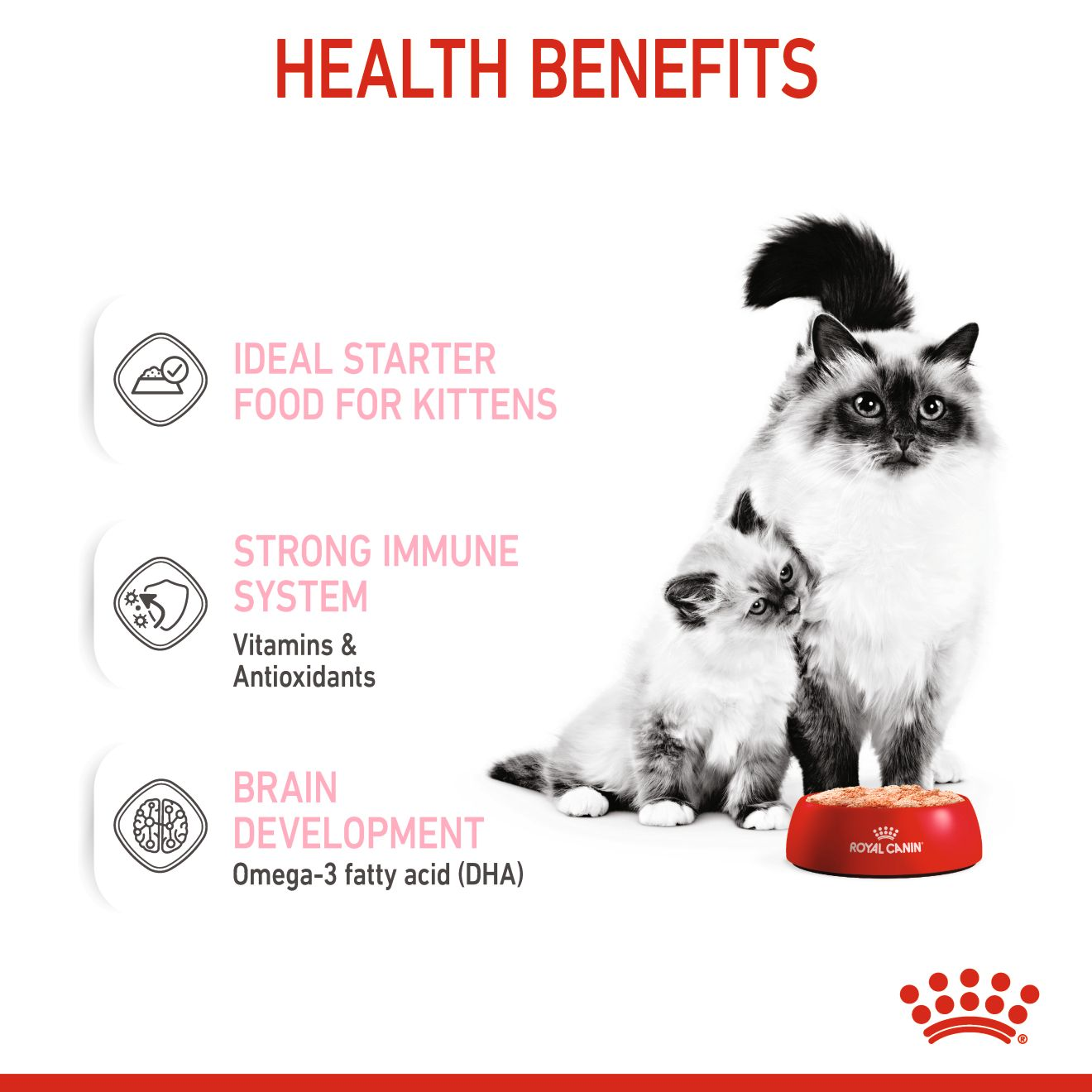 Conserve pour chat Royal Canin - Mousse ultra tendre mère et bébé