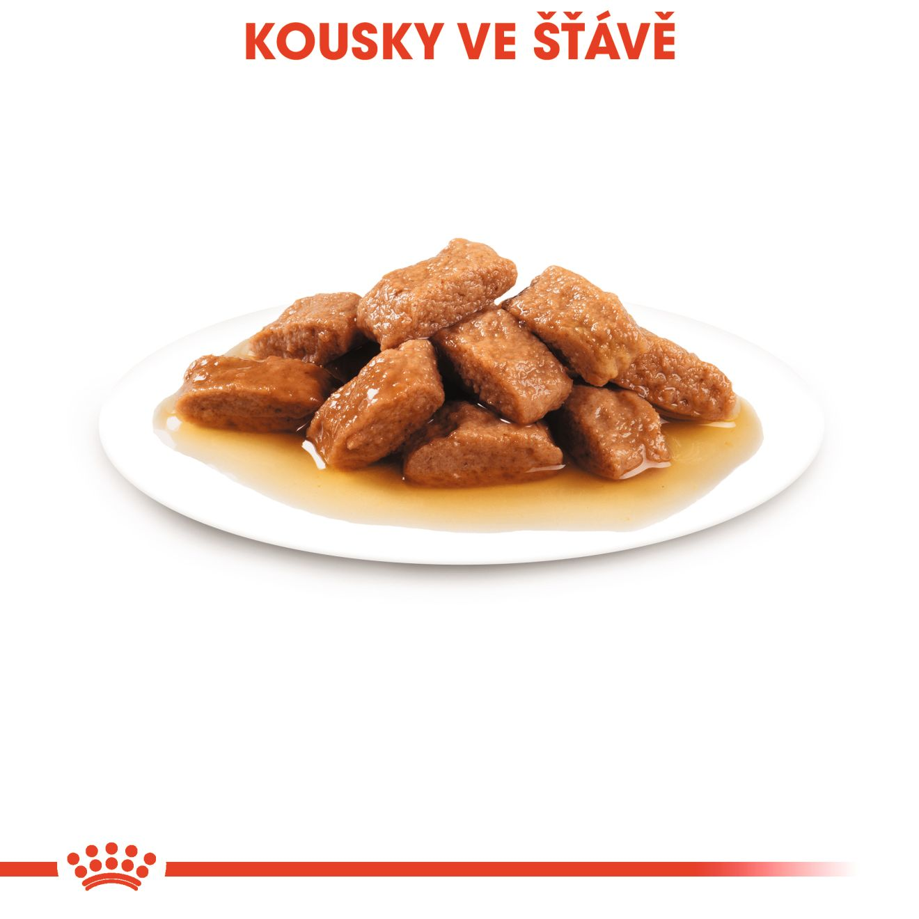 ROYAL CANIN Medium Ageing kapsička ve šťávě pro starší psy středních plemen