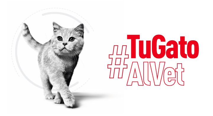 Tu gato al vet 2023 Royal canin Argentina