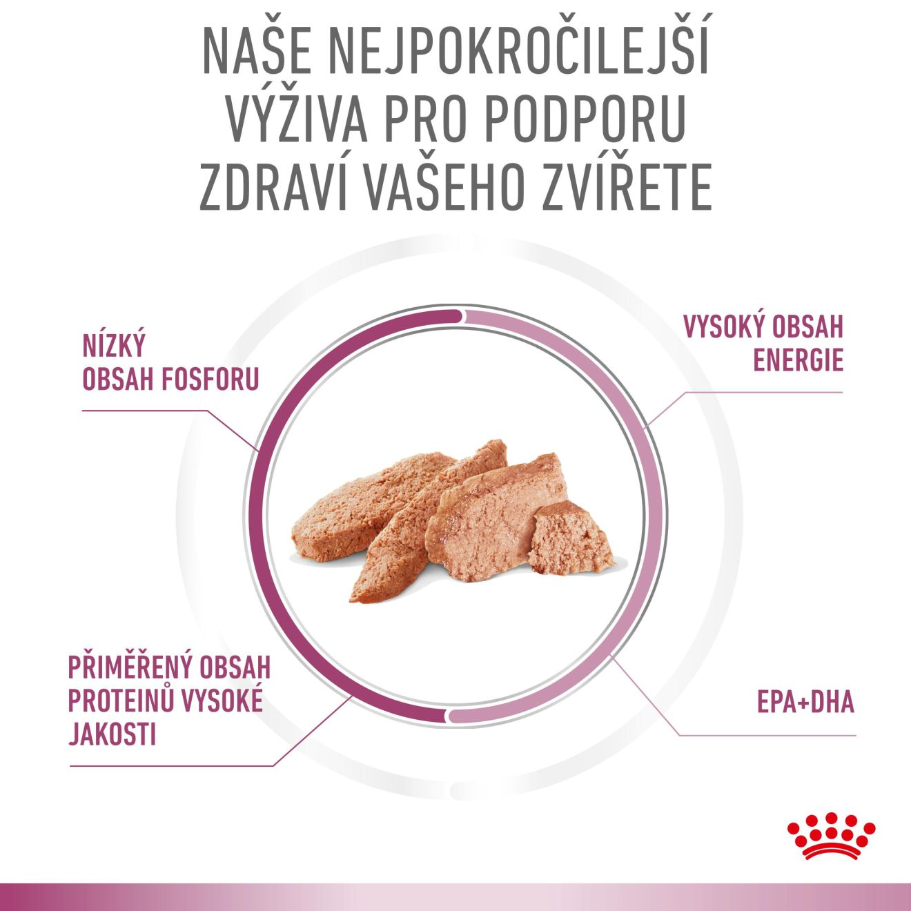 VHN Dog CA Renal - Mobility Loaf Konzerva