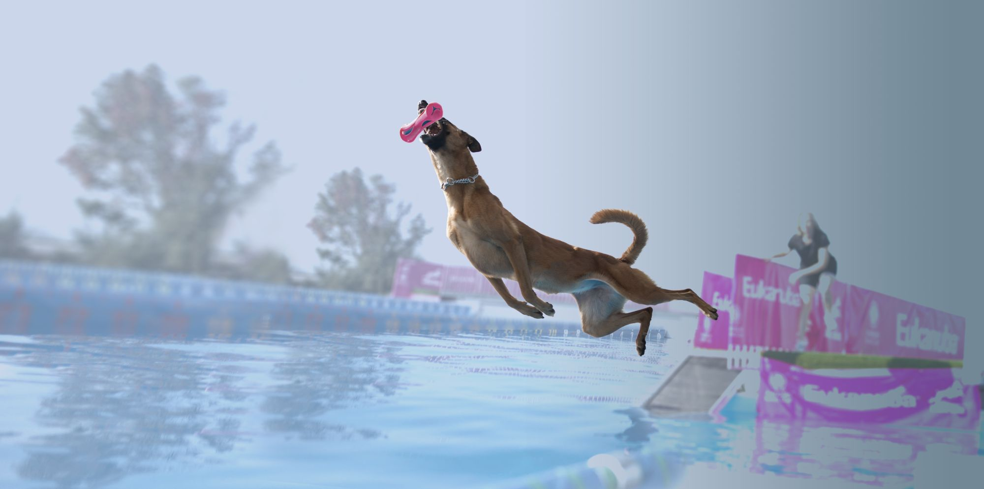 Dock Diving Eukanuba