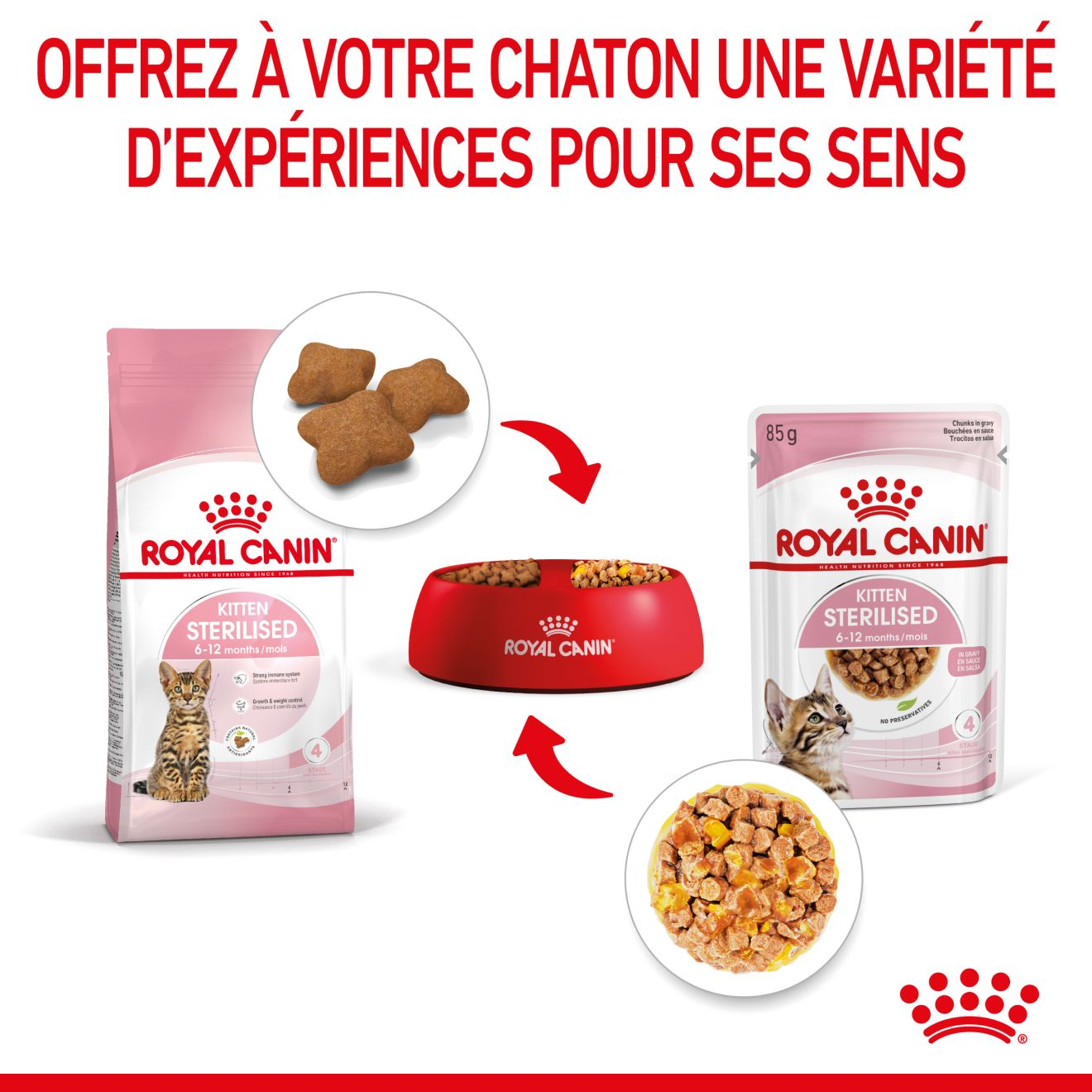 Kitten Sterilised Gelée - Sachet fraîcheur pour chaton stérilisé