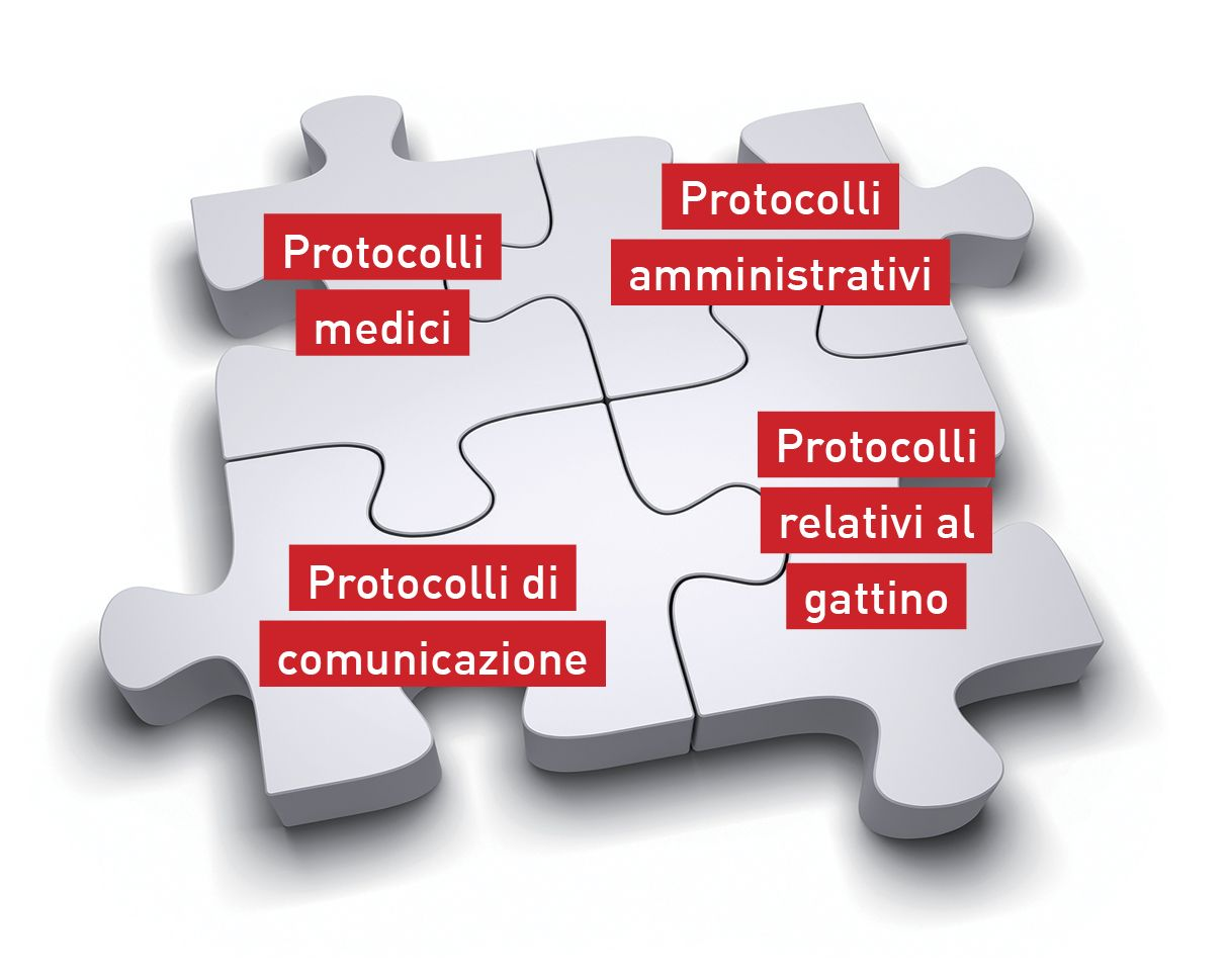 I protocolli per le strutture veterinarie sono come un puzzle