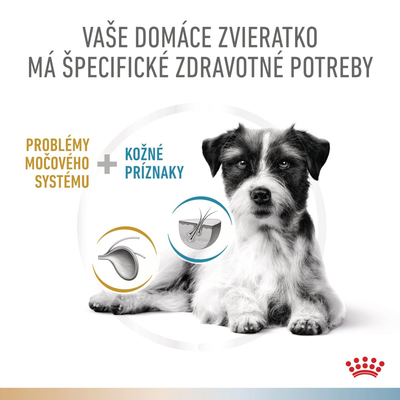 VHN Dog CA Urinary S/O-Hypoallergenic Small