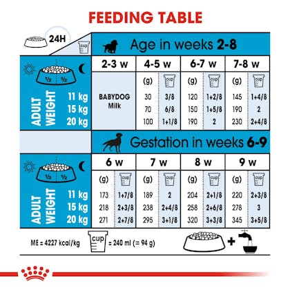 How to feed royal canin starter to clearance puppy