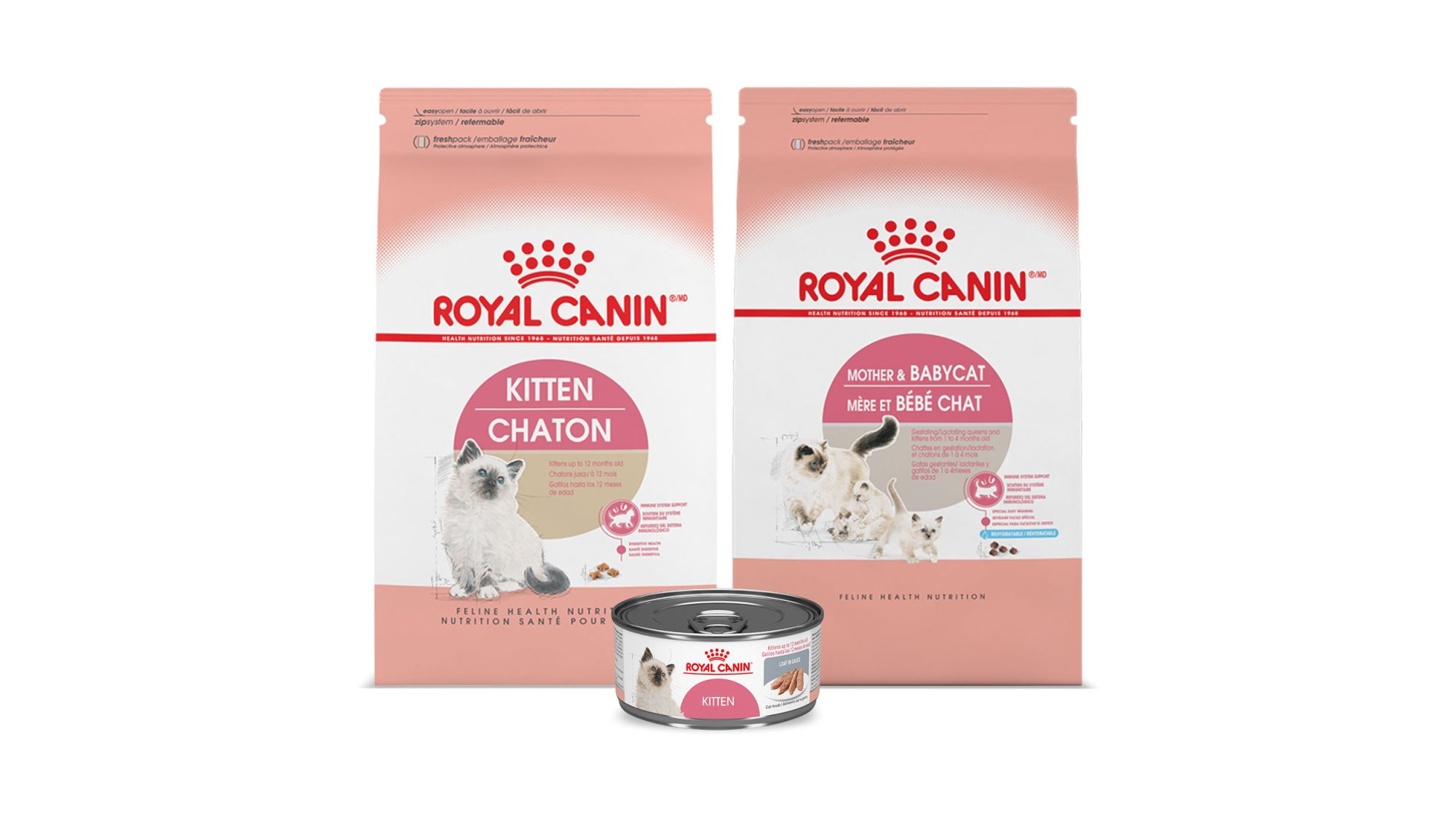 Alimento Royal Canin para Gatitos en etapa de cachorro tanto húmedo y seco . Y alimento seco para Gatas en etapa gestante y lactante.