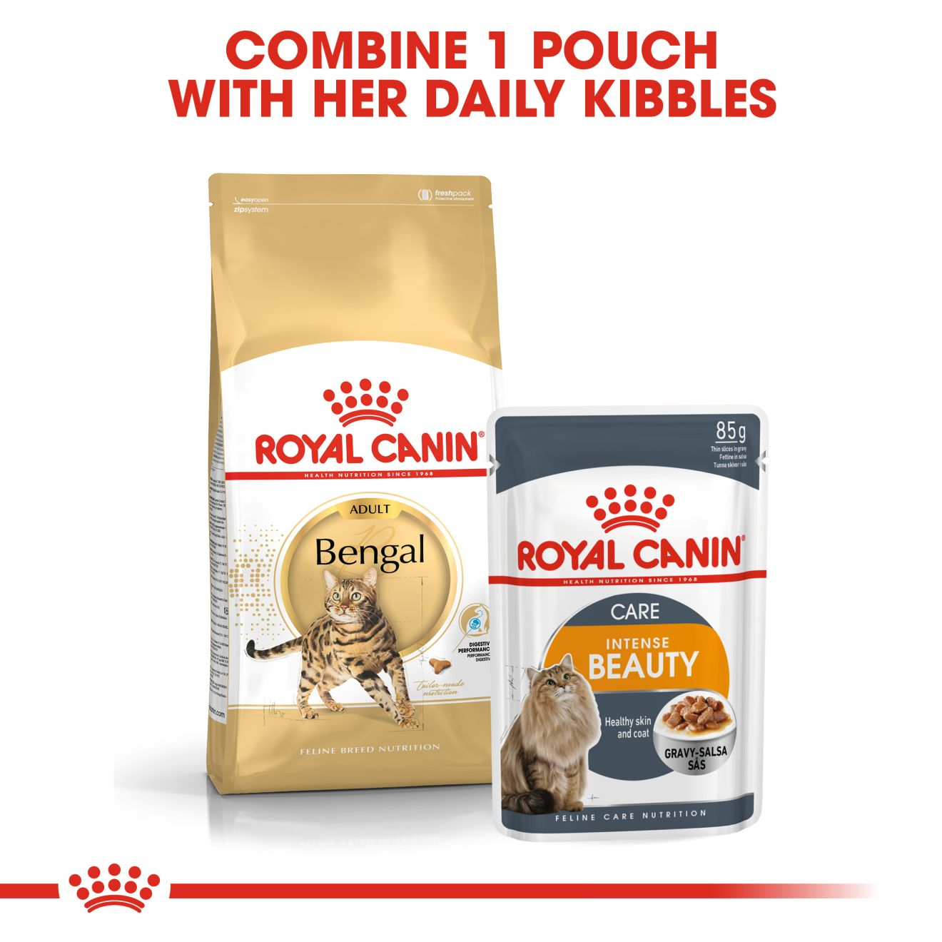  CANIN Bengal ドライフード2kg×2 ROYAL CANIN® Bengal Adult Dry Cat Food, 2kg – ZuZu.land