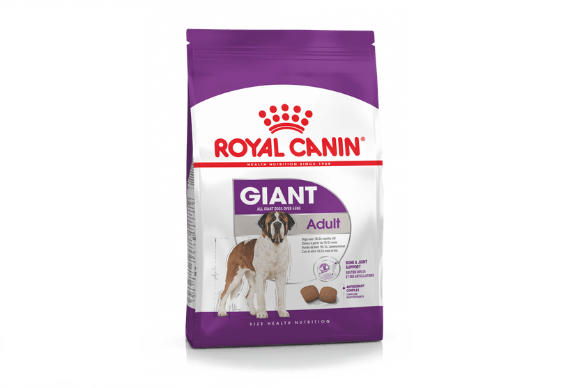 St Bernard adult lying down next to a giant product pack