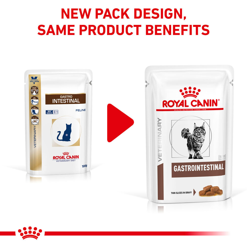 Gastrointestinal feline royal canin best sale