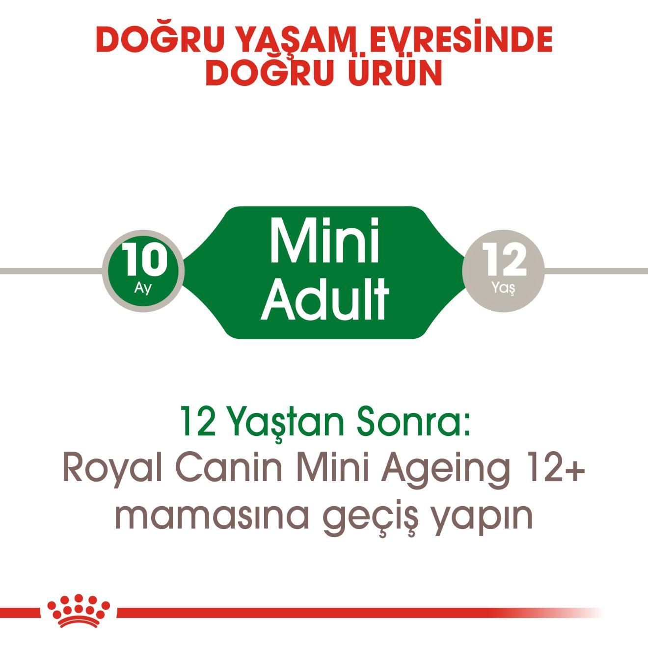 Mini Adult Gravy Yetişkin Köpek Yaş Maması