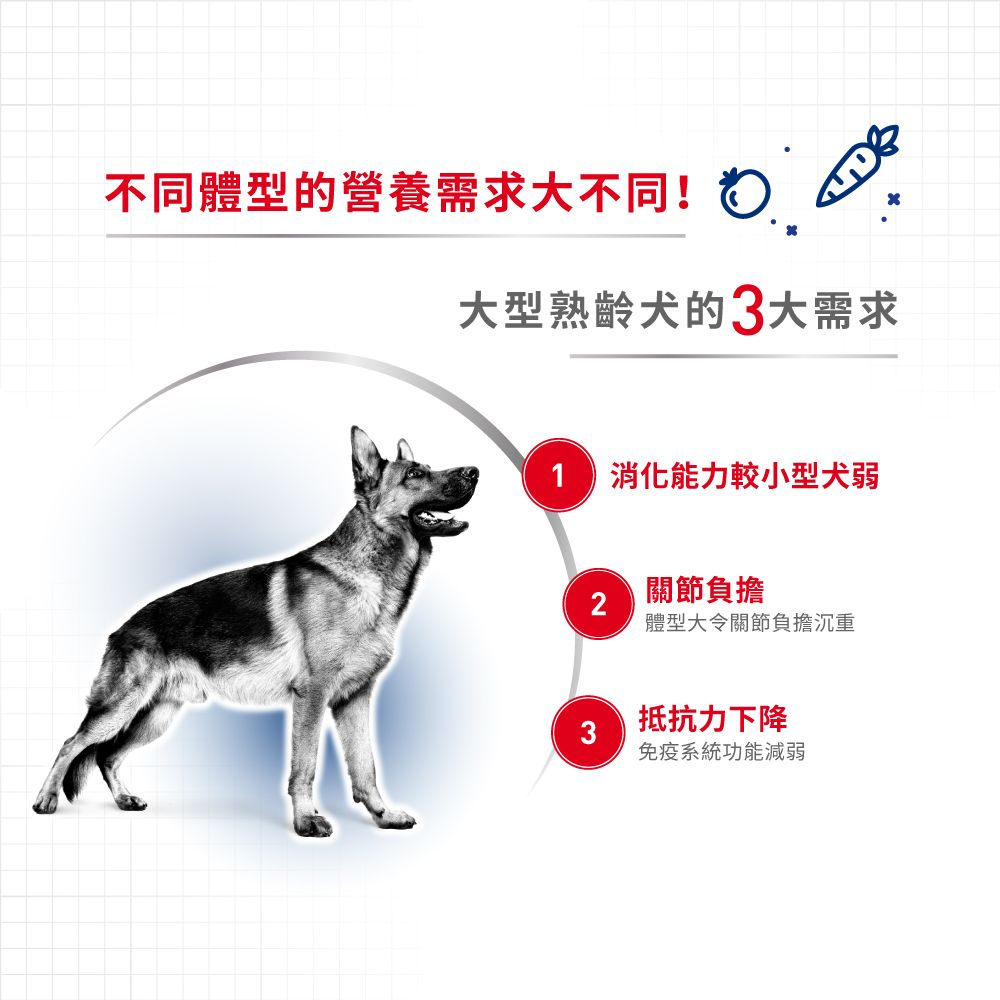 SHN 大型成犬5+營養配方