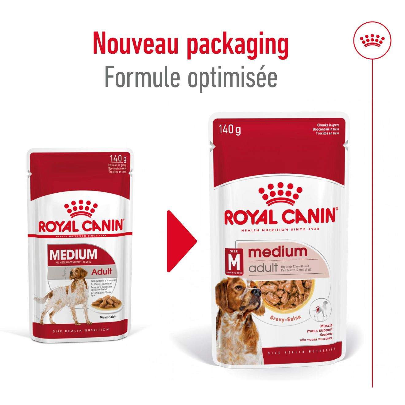 Medium Adult en sauce