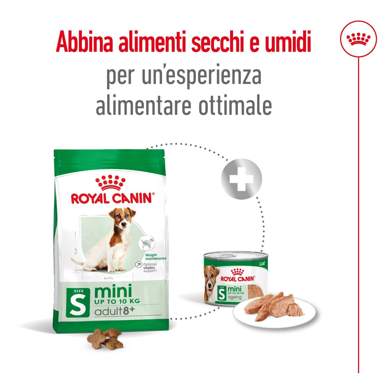 Mini Adult 8+