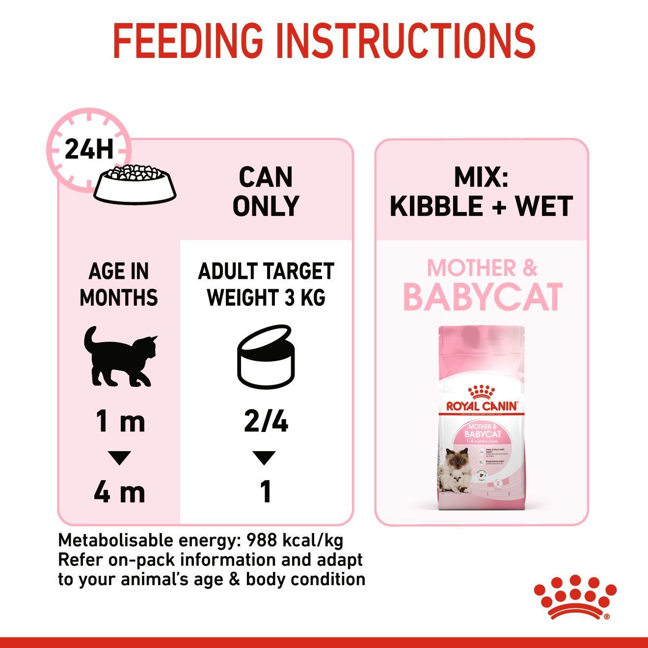 Babycat mousse royal clearance canin