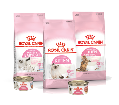 Nuevo producto Royal Canin Hematuria Detection tecnología desarrollada por Blücare para dectectar FLUTD en gatos.