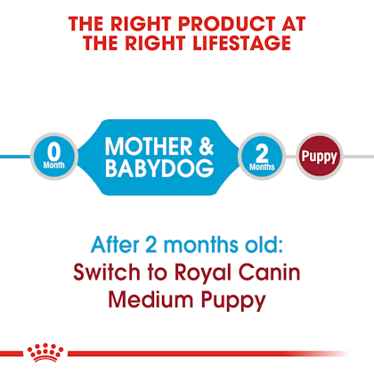 Medium Starter Kering Royal Canin