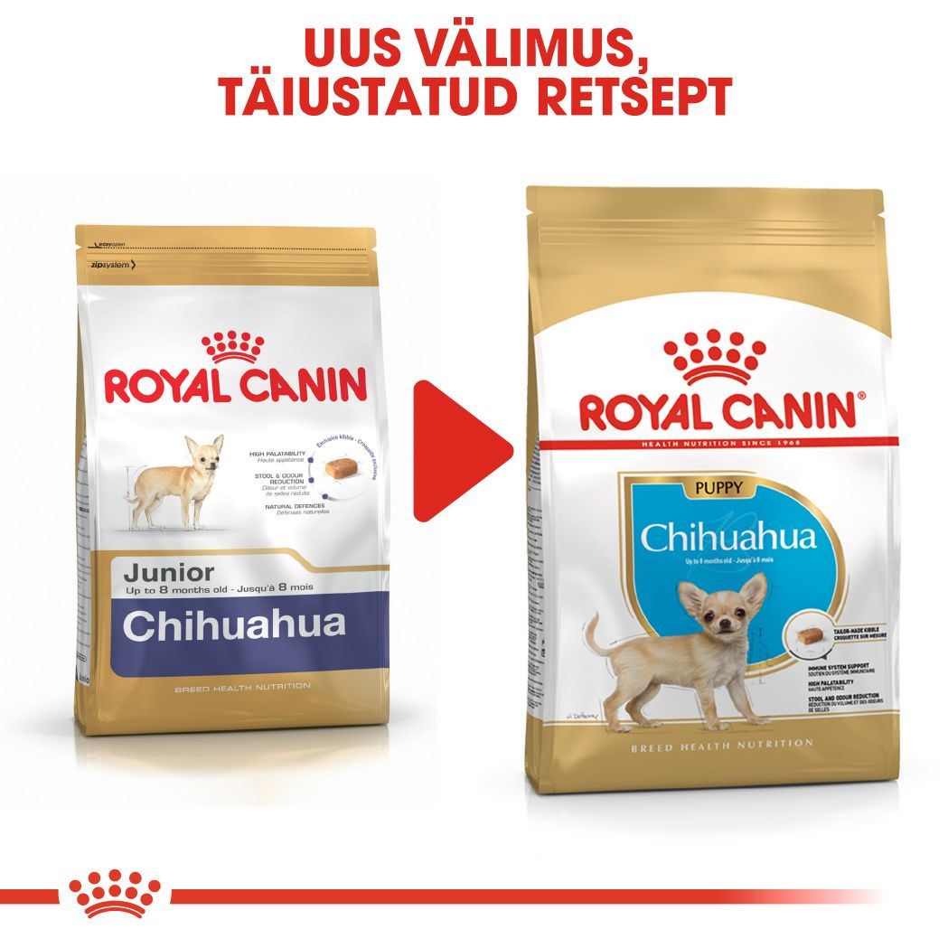 Royal Canin Chihuahua Puppy kuivtoit