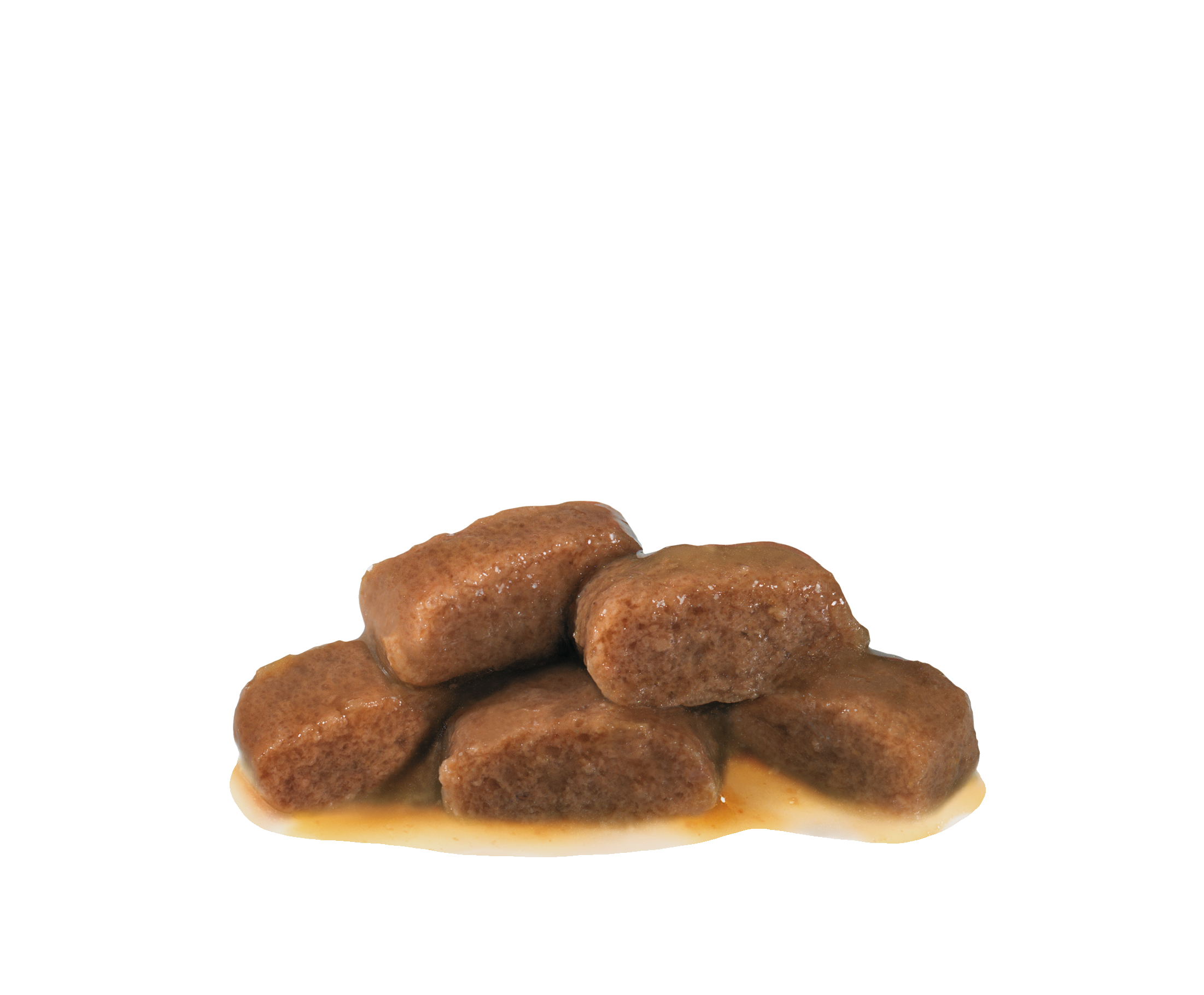 Renal with beef | Royal Canin Poland