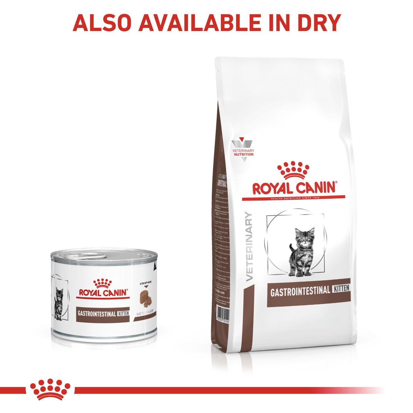 Royal canin gastrointestinal cat food outlet wet