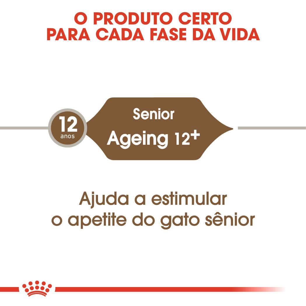 Ageing 12+