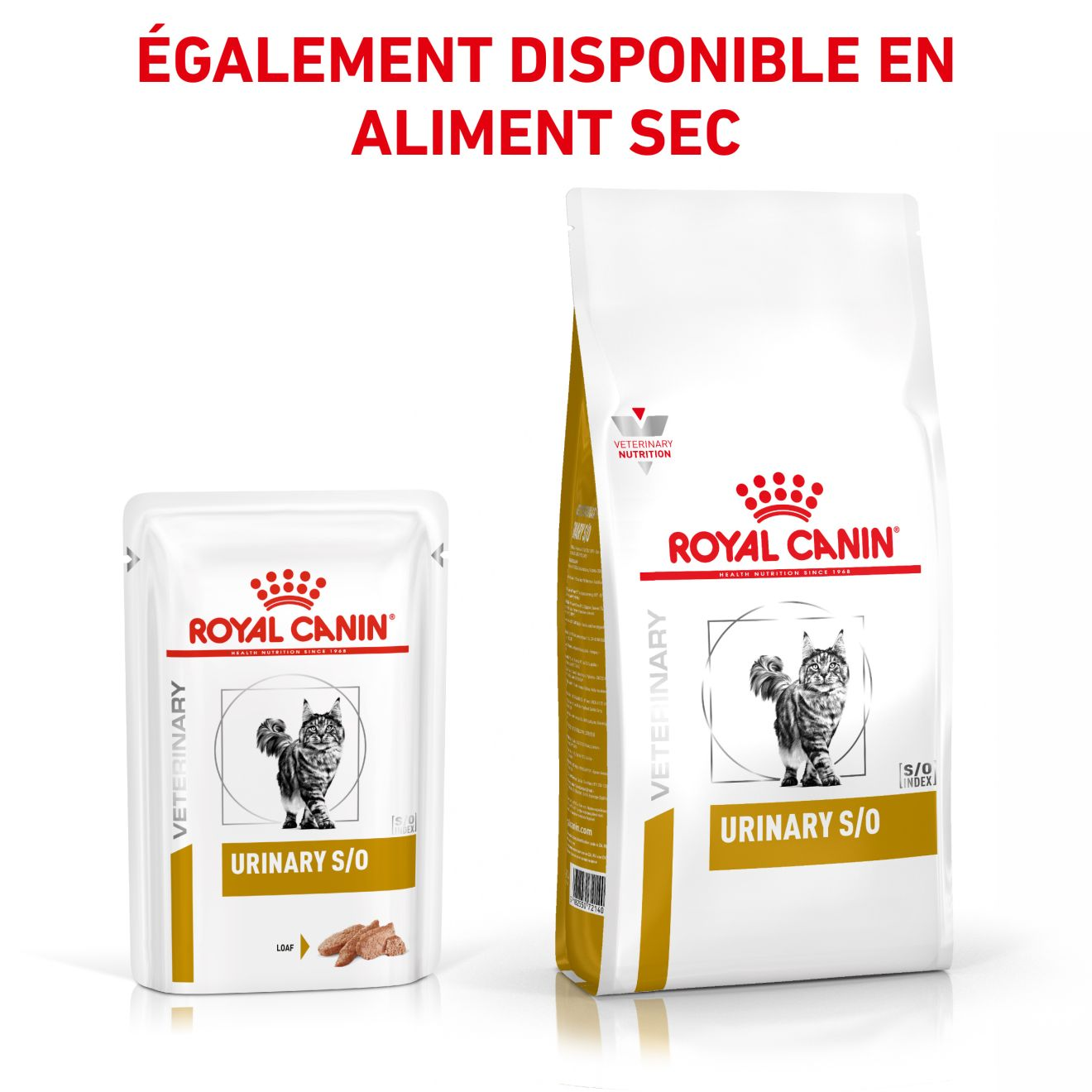 Royal Canin Urinary S/O Chat, Commander en ligne